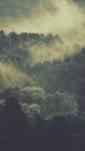 最新传奇私服网站截图2