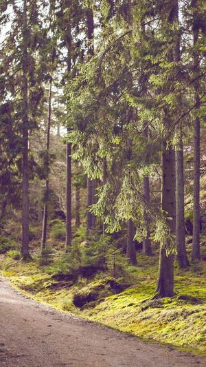 梦幻西游单机私服截图3