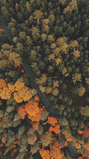 dnf extractor截图2