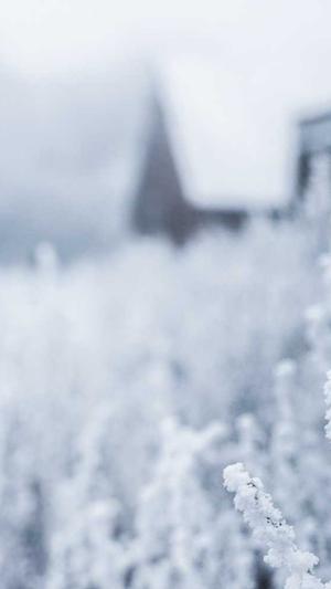 刚开一秒中变传奇截图2