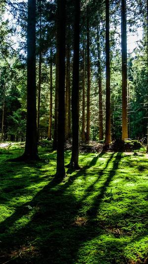 1.76复古合击传奇截图3