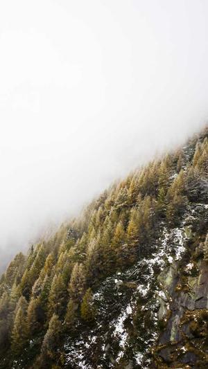 轻变合击传奇截图1