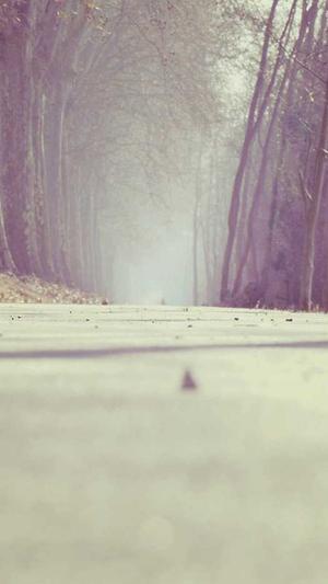 dnf加速器官方下载截图2