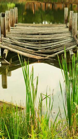 冒险岛怎么开店截图4