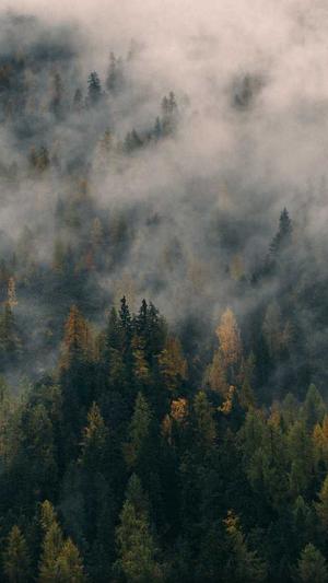 冒险岛窗口化工具截图3