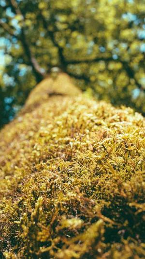 冒险岛职业排行截图2