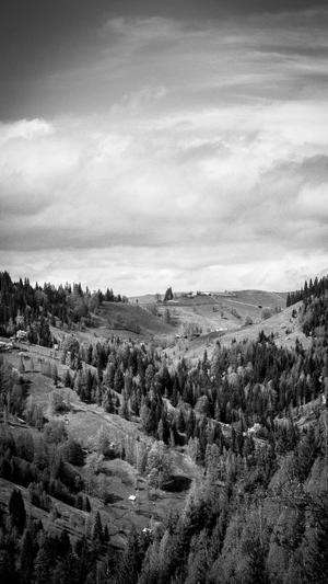 梦幻西游私服官网截图2