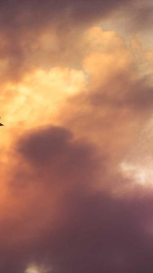 迷失传奇发布网截图1