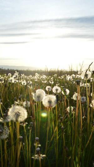 冒险岛哪个职业好玩截图2