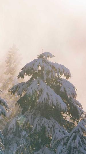 冒险岛未来新叶城截图2