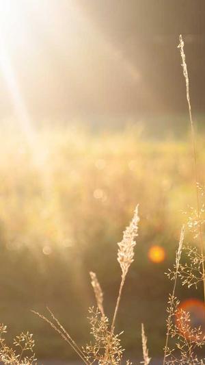 冒险岛希纳斯前置任务截图5