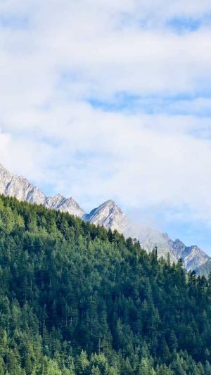 dnf阿修罗技能补丁截图4