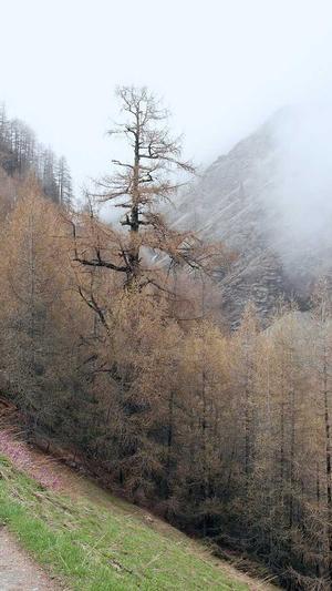 冒险岛加点模拟器截图1