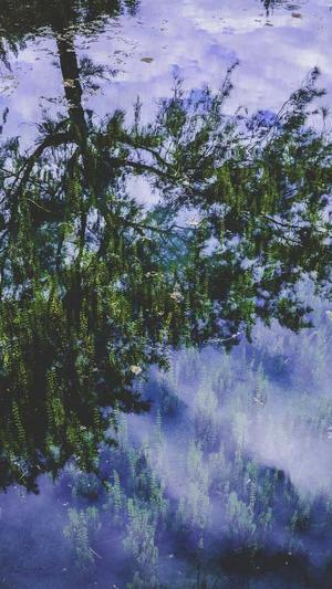 dnf武神加点截图1