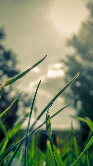 dnf偷学技能截图4