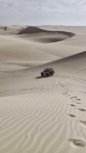 冒险岛童话村任务攻略截图3