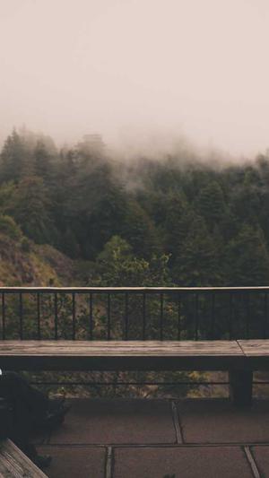 冒险岛金色枫叶徽章截图3