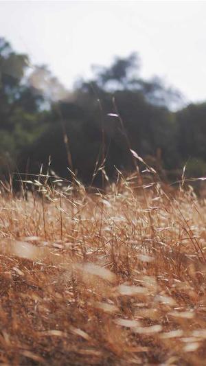 冒险岛傻挂辅助截图3