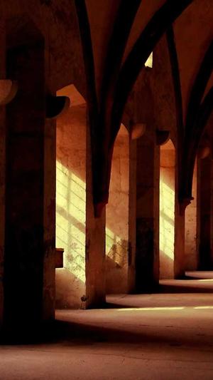 梦幻西游手游私服论坛截图5