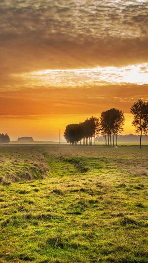 冒险岛星之力怎么得到截图5