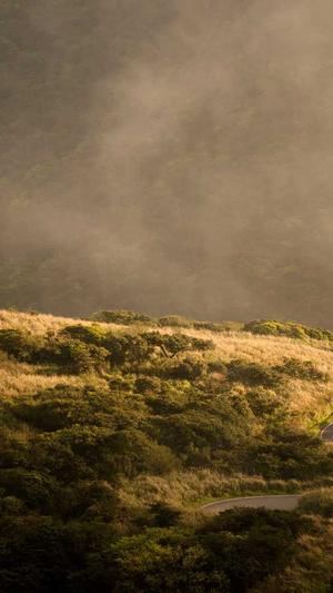 冒险岛怪物公园截图3