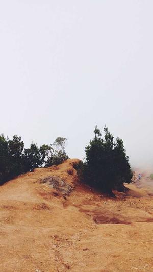 冒险岛魔幻紫水晶截图3