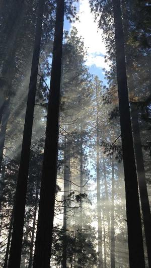 热血 传奇截图1