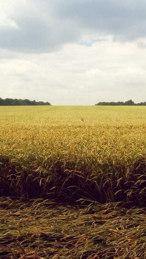 冒险岛希纳斯前置任务截图4