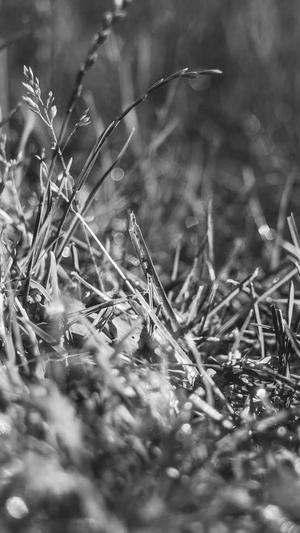 dnf仓库锁解除截图3