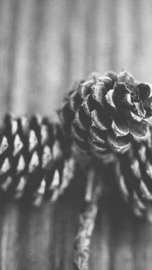 dnf韩服官网截图1