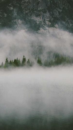 冒险岛link表截图5