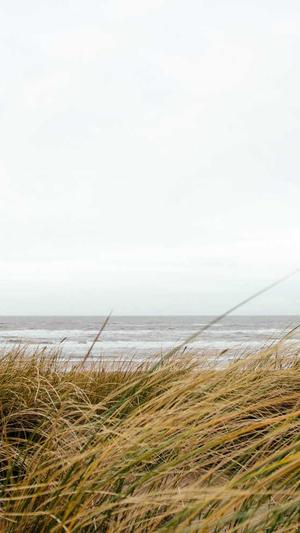 dnf单机版12.0截图2