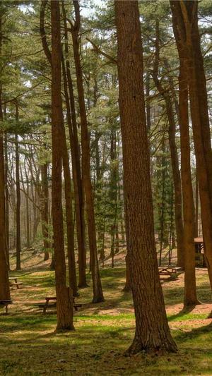 冒险岛怎么赚游戏币截图2