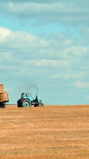 dnf蓝拳加点截图3