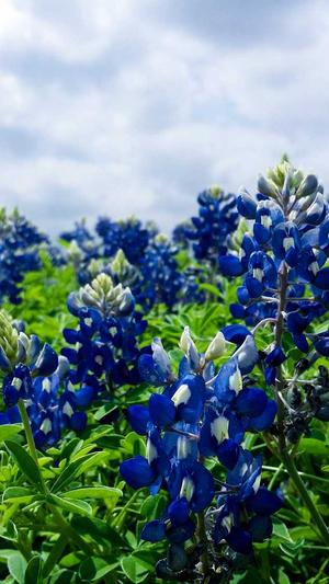 dnf精灵骑士吧截图3