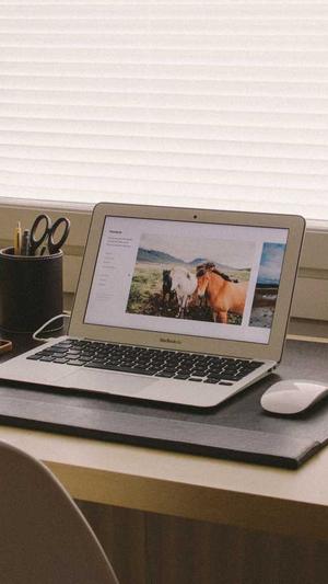 网通传奇合击截图2