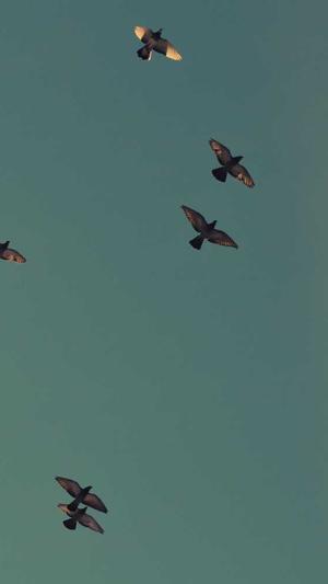 神医喜来乐传奇截图3