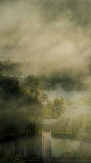 梦幻西游sf私服手游截图1