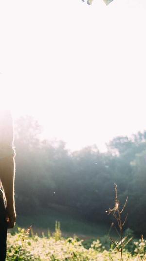 奥特曼传奇英雄截图1