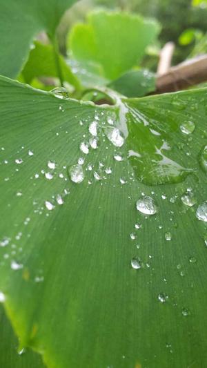 冒险岛2钓鱼截图4