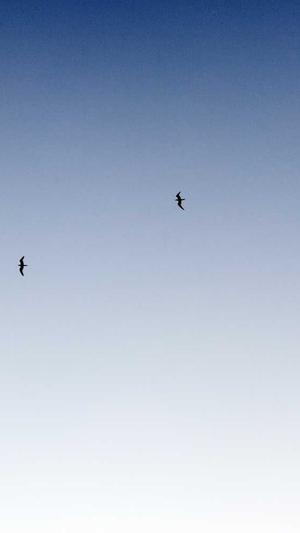 奥特曼传奇截图3