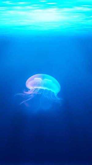 dnf无限猫头鹰截图3