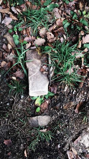 传奇sf发布网截图3