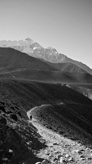 1.76传奇sf发布网截图3