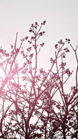 dnf疲劳蓄电池截图1