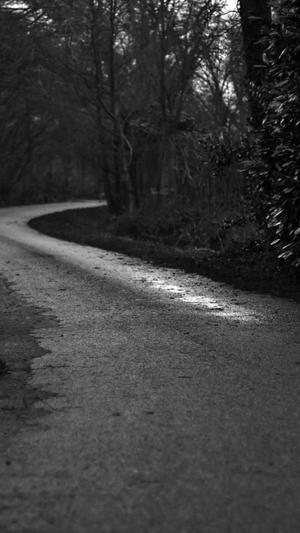 热血传奇新开sf截图2