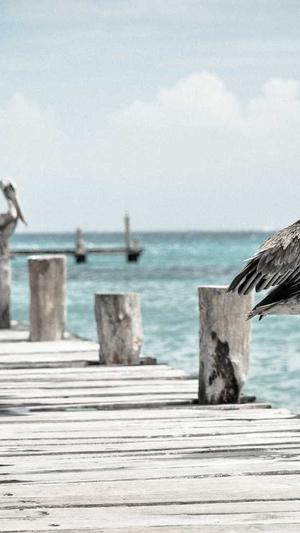 1.76传奇sf发布网截图1