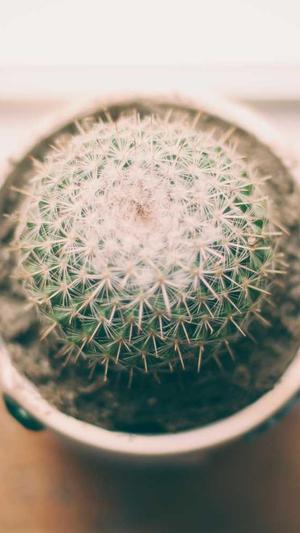 梦幻西游私服版本截图1