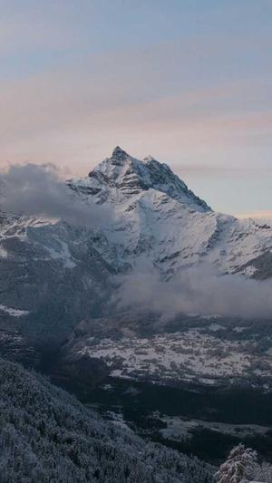 找传奇网站截图1