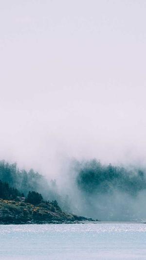 dnf星光独角兽截图3